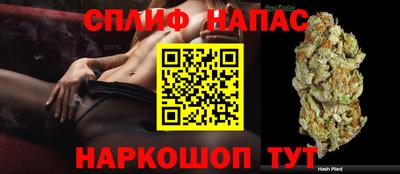 apvp Будённовск