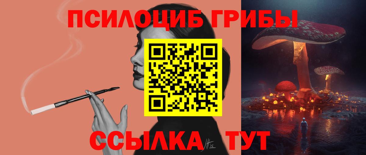 Чехов  Галлюциногенные грибы Psilocybe  где можно купить наркотик  Псилоцибиновые грибы Magic Shrooms  Вход с VPN 